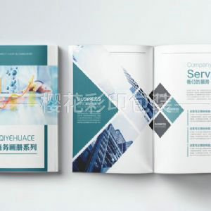 企業(yè)畫冊樣本