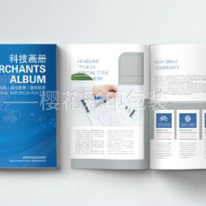 企業(yè)畫(huà)冊(cè)樣本